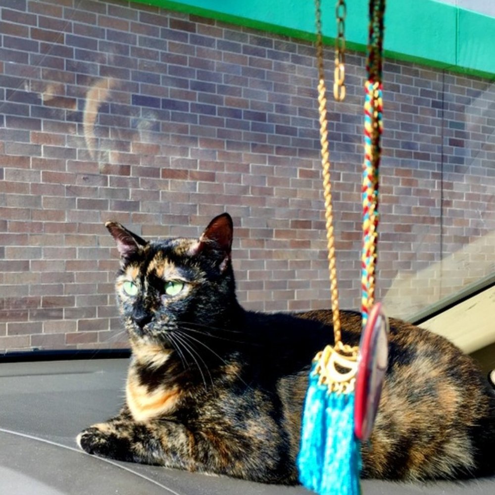 welcome to my cozy spot